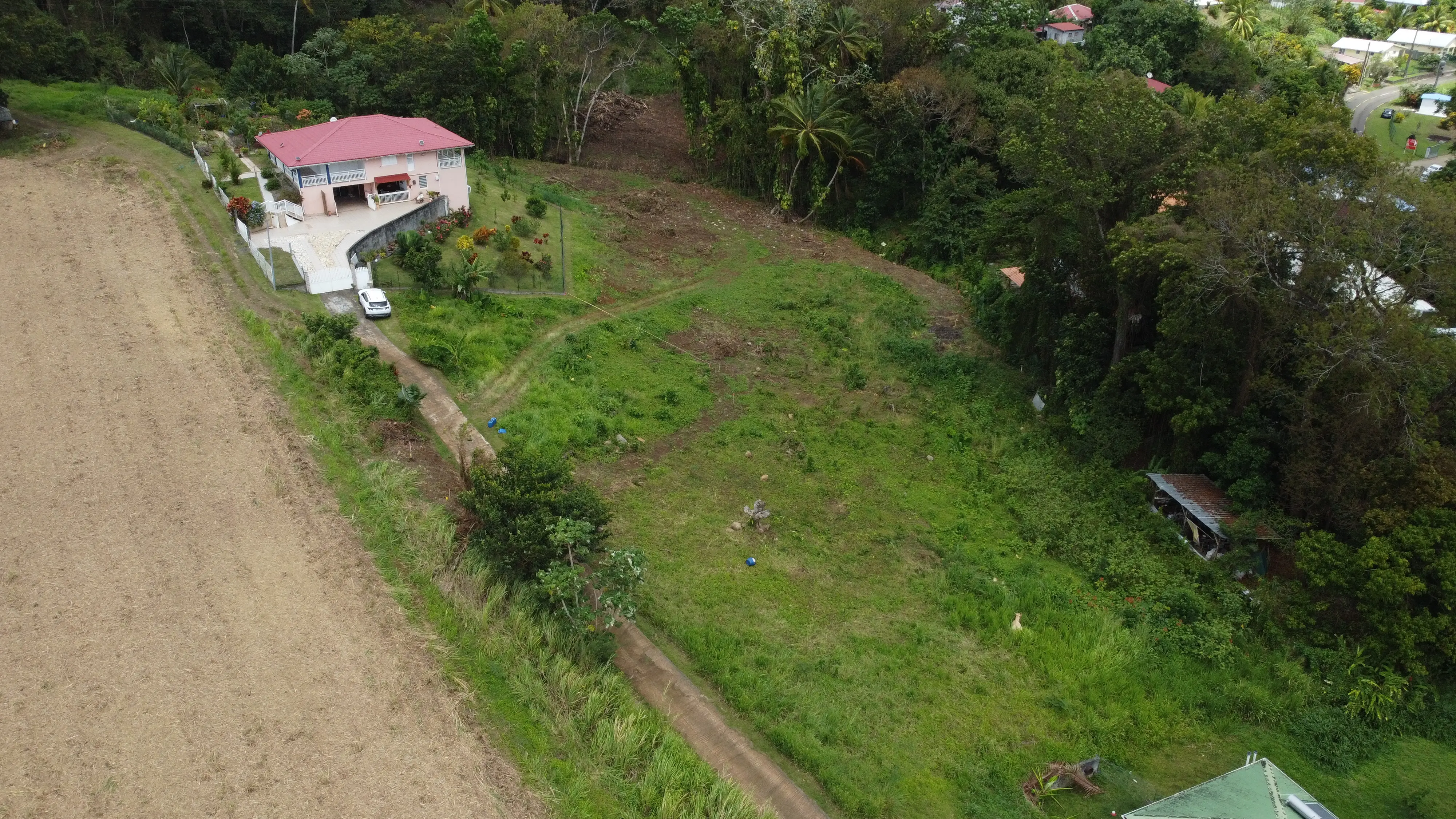 Photo de Terrain — Rivière-Pilote, secteur Concorde (2 771 m²) à Rivière-Pilote