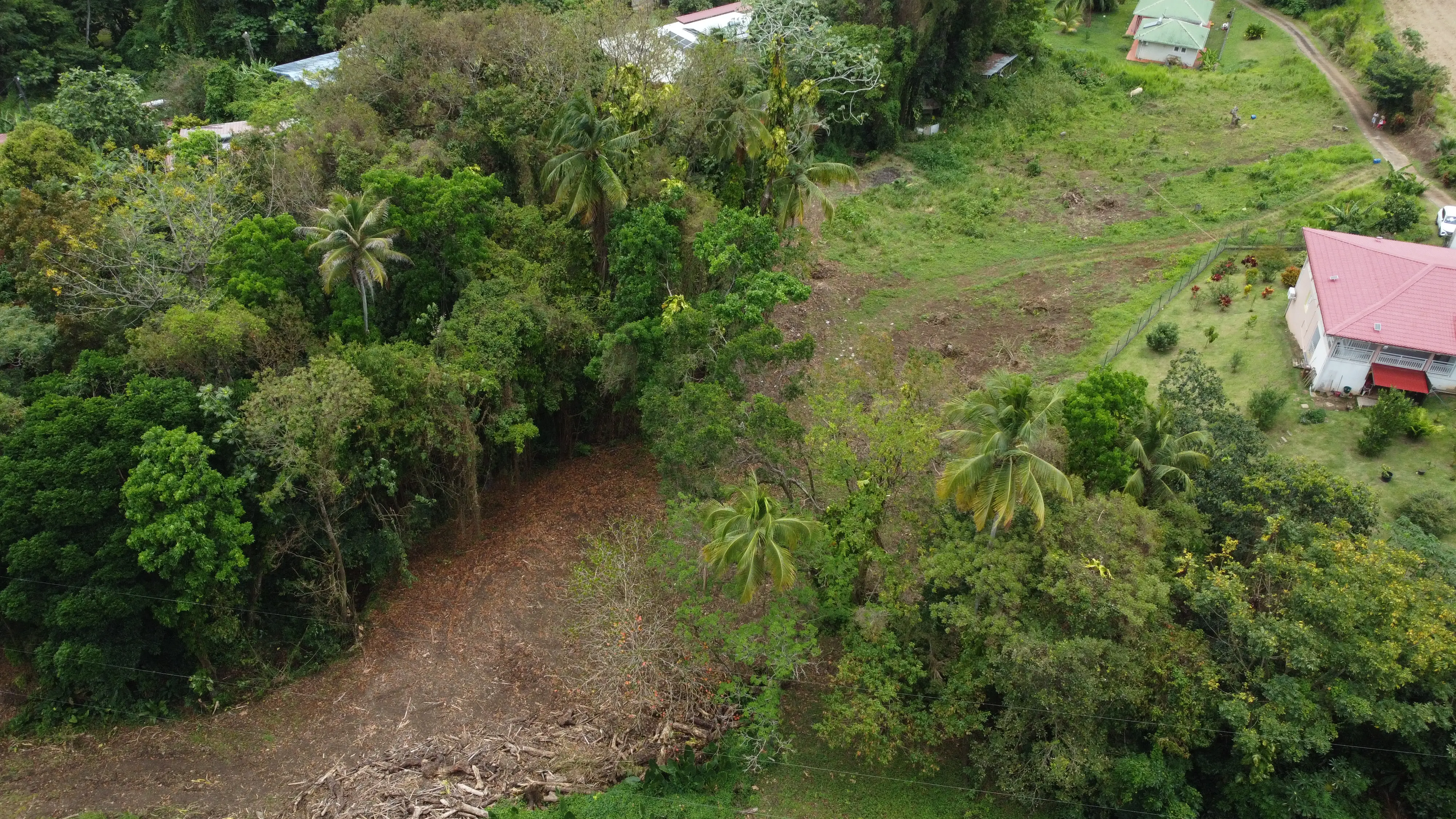 Terrain — Rivière-Pilote, secteur Concorde (2 771 m²)