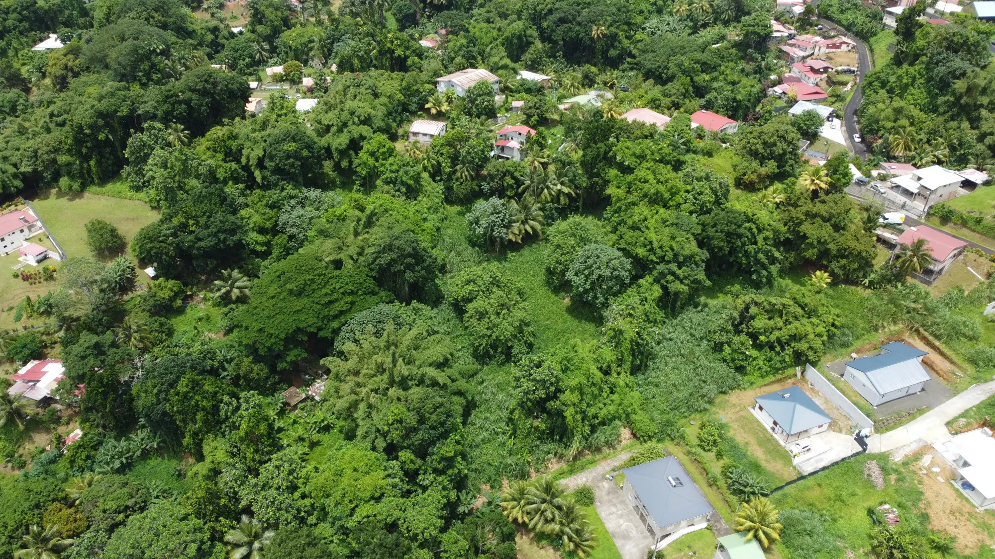 Grand Terrain Constructible de 9 044 m² avec Maison T4 à Vendre au Gros-Morne – Martinique