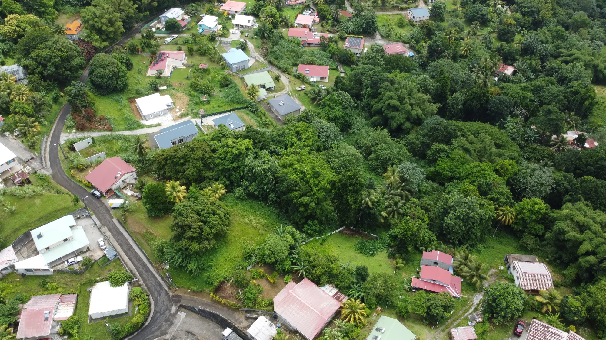 Grand Terrain Constructible de 9 044 m² avec Maison T4 à Vendre au Gros-Morne – Martinique