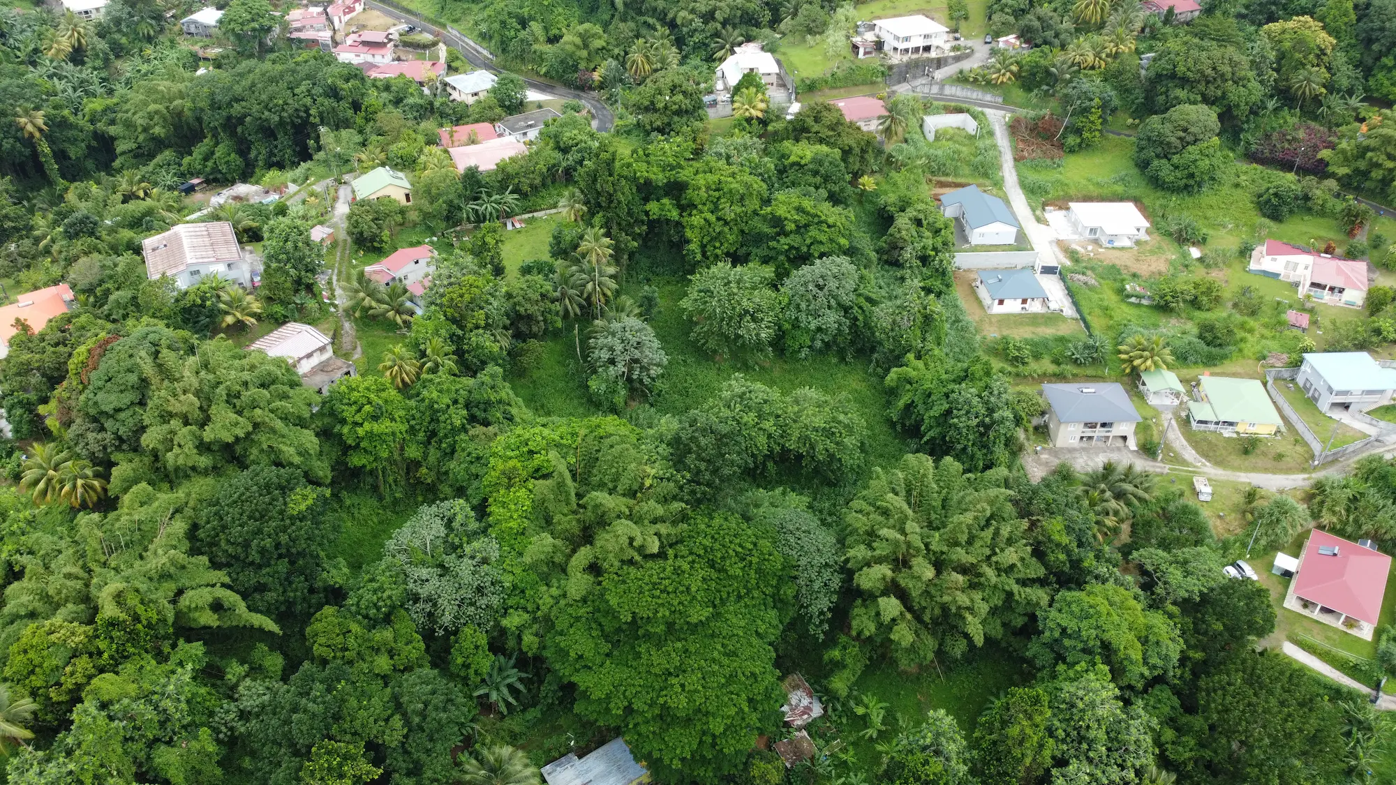 Grand Terrain Constructible de 9 044 m² avec Maison T4 à Vendre au Gros-Morne – Martinique