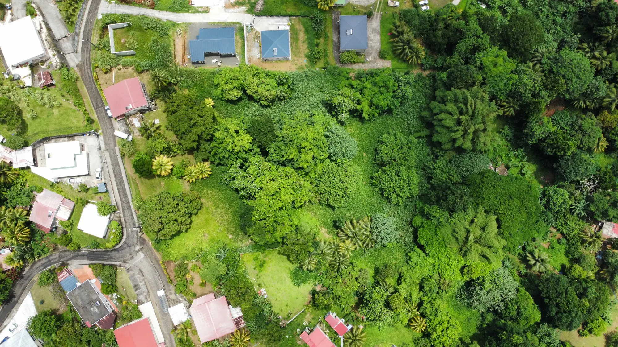 Grand Terrain Constructible de 9 044 m² avec Maison T4 à Vendre au Gros-Morne – Martinique