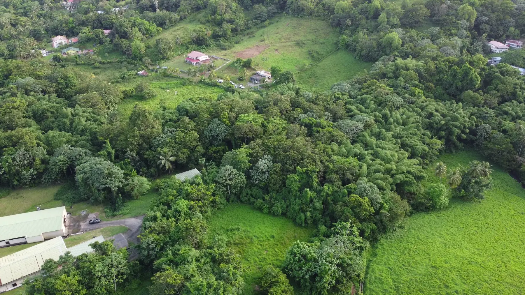 Photo de Martinique, Le Lamentin – 4,4 ha agricole avec zone constructible à Le Lamentin
